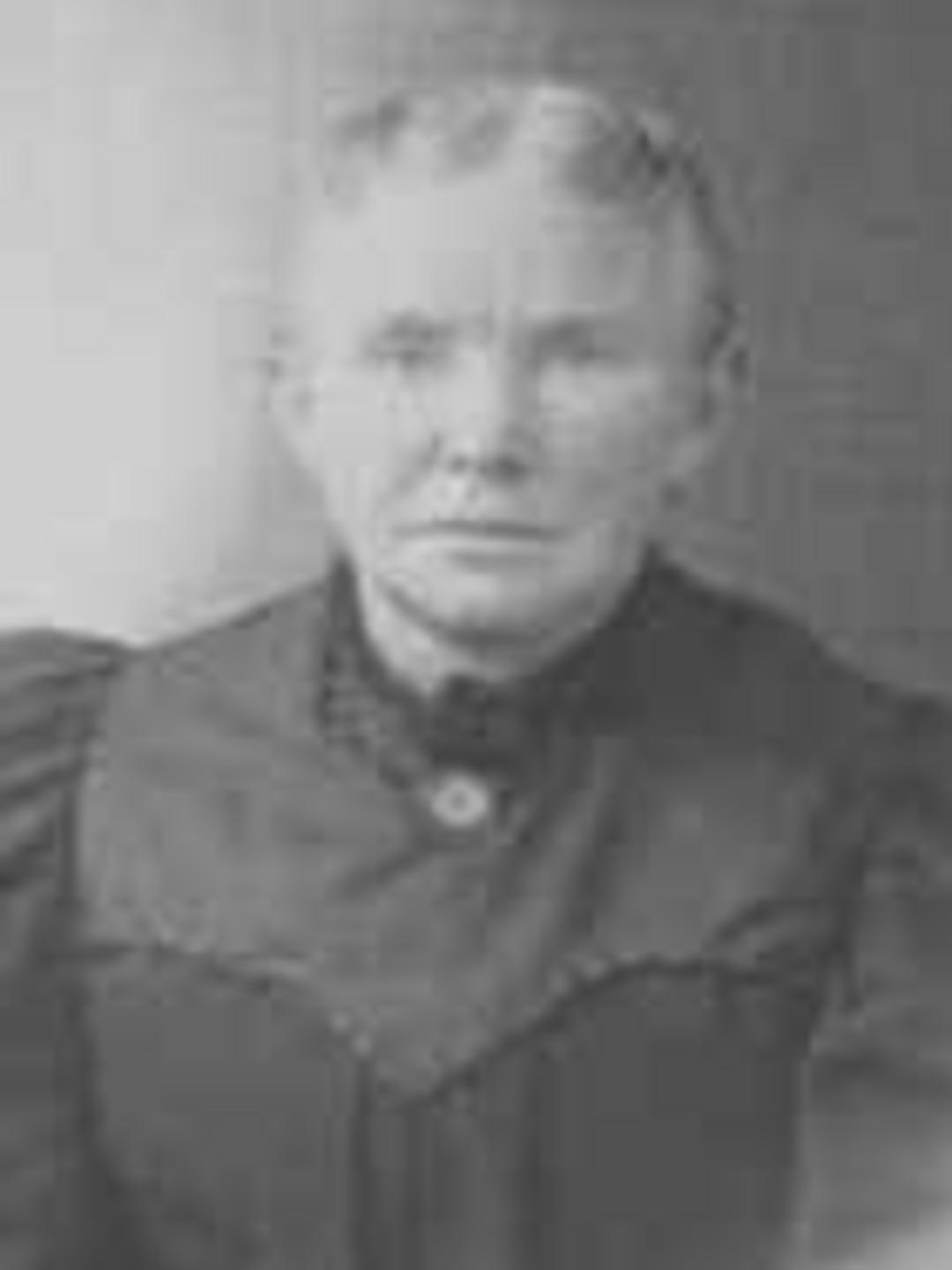 Anna Christina Osterlin (1842 - 1925) Profile
